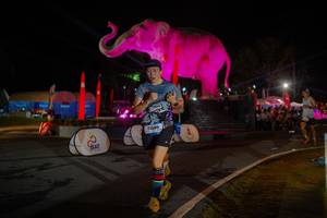 BIB: 
                            <button type="button" onclick="openModal(26552092)" class="btn btn-primary btn-sm float-right btn-popup" data-toggle="modal" data-target=".modal-high-quality">
                        <i class="fas fa-shopping-cart"></i> Add to Cart
                    </button>
                                            <button type="button" onclick="isThisMe(26552092, true)" class="btn btn-success btn-sm float-right btn-popup btn-isme hidden" data-toggle="tooltip" data-placement="bottom" title="นี่คือรูปของคุณใช่ไหม คลิกที่นี่เพื่อเอาเข้าอัลบั้ม">
                        <i class="fas fa-plus"></i> Add to album
                    </button>
                    <button type="button" onclick="isThisMe(26552092, false)" class="btn btn-warning btn-sm float-right btn-popup btn-isnotme hidden">
                        <i class="fas fa-ban"></i> Remove from album
                    </button>